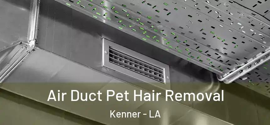 Air Duct Pet Hair Removal Kenner - LA