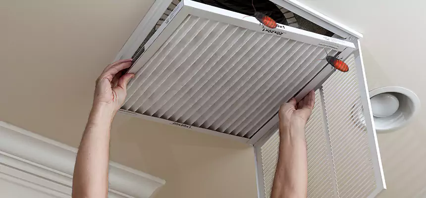 Preventive Cockroach-Proofing for Ducts in Kenner