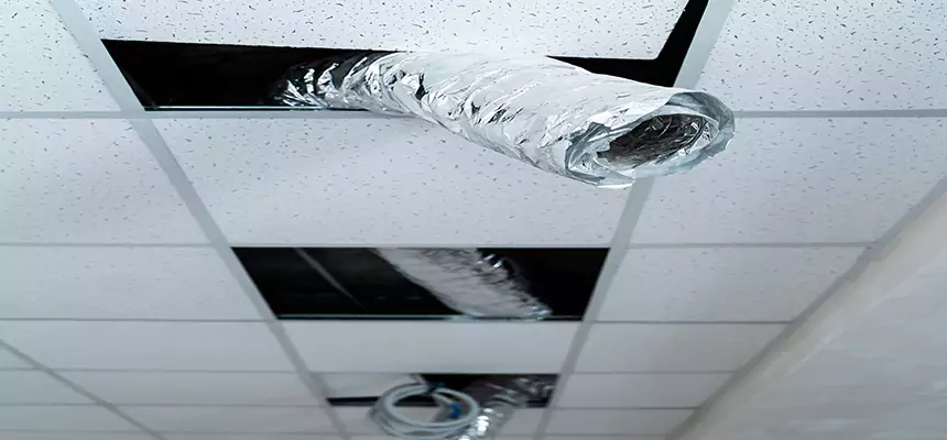 Affordable HVAC Sanitizing After Pest Removal in Kenner