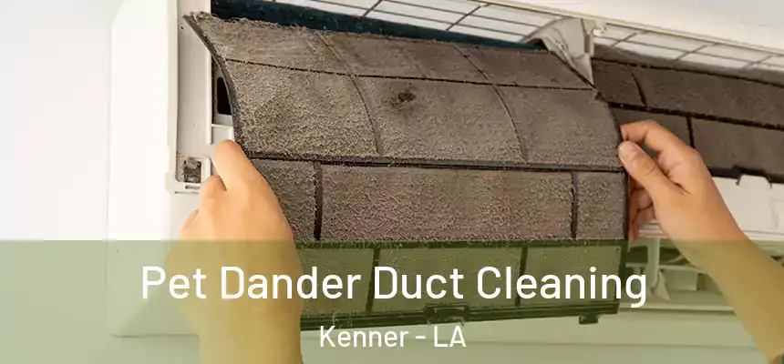Pet Dander Duct Cleaning Kenner - LA