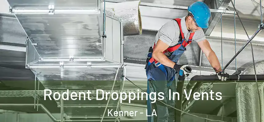 Rodent Droppings In Vents Kenner - LA