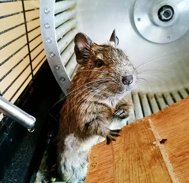 Why Homeowners & Businesses Trust Us Kenner, LA