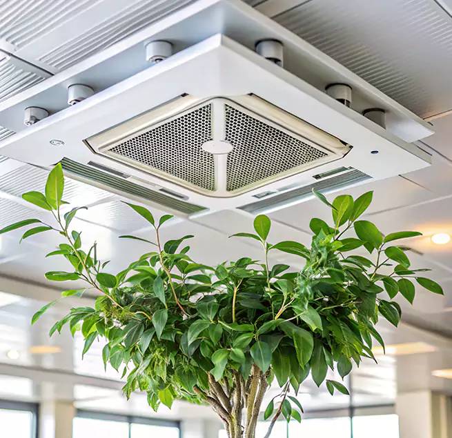 Why Homeowners & Businesses Trust Us in Kenner, LA