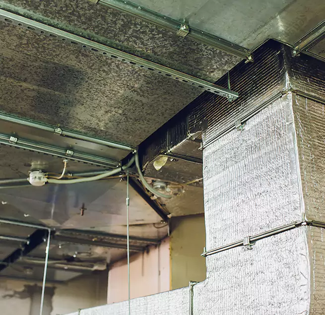 Why Homeowners & Businesses Trust Us in Kenner, LA?